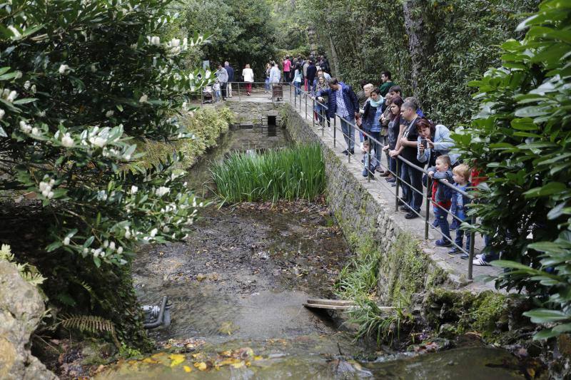 El jardín gijonés celebra su decimoquinto aniversario con una jornada de puertas abiertas repleta de visitantes.