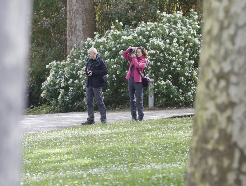 El jardín gijonés celebra su decimoquinto aniversario con una jornada de puertas abiertas repleta de visitantes.