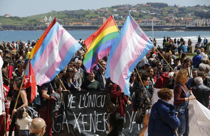 CNT, CGT, CSI y Suatea han convocado a un gran número de personas en Gijón, donde se ha celebrado una manifestación del Primero de Mayo impregnada por las reivindicaciones feministas. 