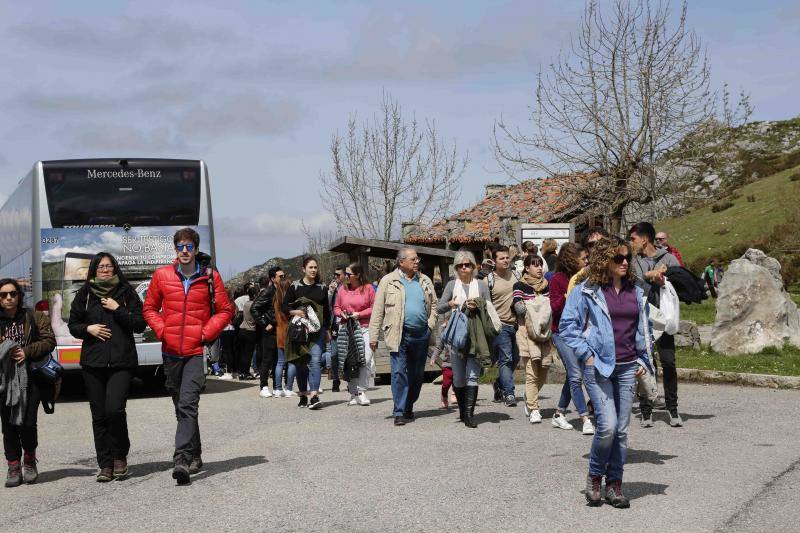 El buen tiempo invitó a lugareños y foráneos a disfrutar de todos los rincones del Principado en este Primero de Mayo.