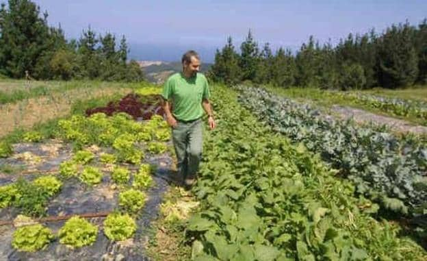 Asturias teme perder 4,6 millones con la nueva Política Agraria Común