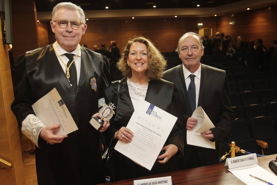 El presidente del TSJA, Ignacio Vidau, fue distinguido como colegiado honorario en una ceremonia en la que también se nombró colegiado de honor al humorista gráfico y colaborador de EL COMERCIO, 'Néstor' y a la precursora de la Agrupación de Abogados Jóvenes y de la Escuela de Práctica Jurídica, Alicia Fernández del Castillo