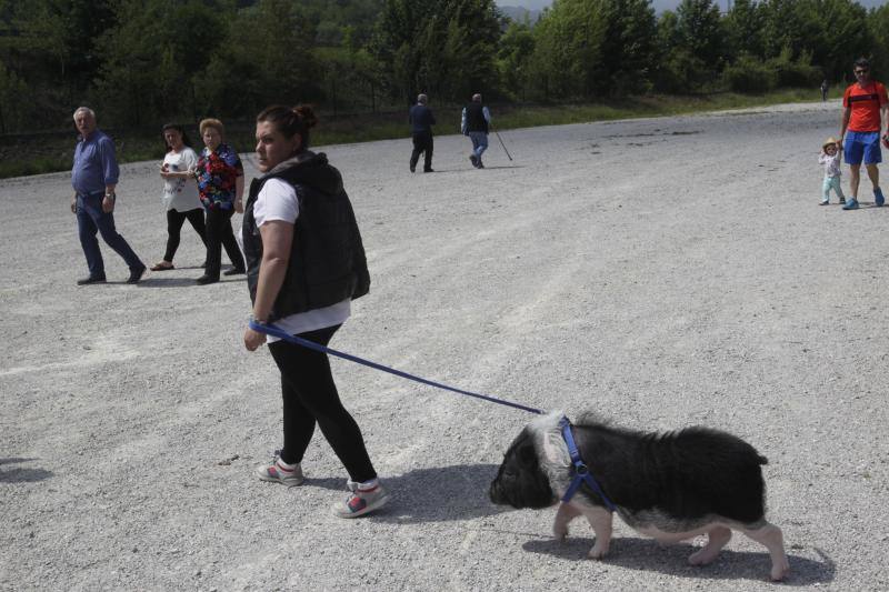 Fotos: La Ascensión celebra su mercado de ganado en Olloniego