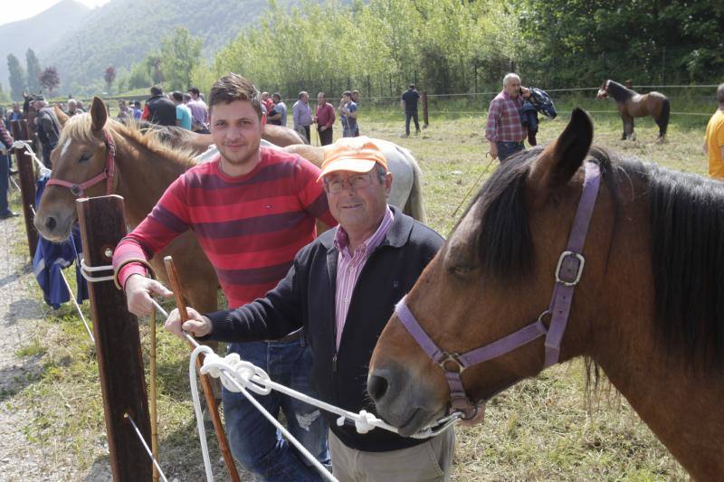 Fotos: La Ascensión celebra su mercado de ganado en Olloniego