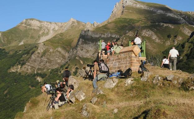 El sector turístico recibirá formación para aprender a proteger a los osos