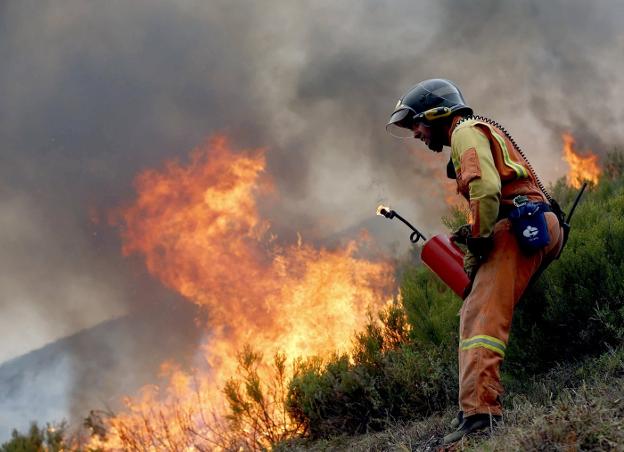 Un bombero, en el incendio forestal que se produjo en octubre en el entorno de Muniellos. 