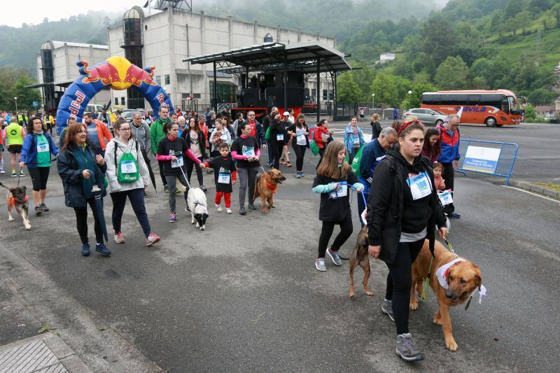 Gran éxito de la marcha popular entre los museos MUMI y Pozo Sotón a través del paseo fluvial.