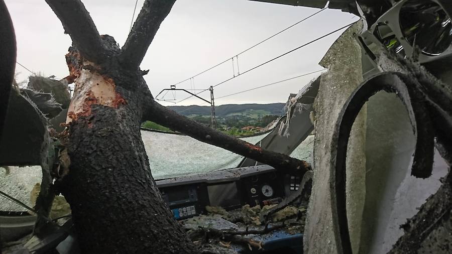 Las ramas entraron en la cabina e hirieron al conductor del tren, que cubría la ruta Madrid-Gijón y transportaba a 97 personas