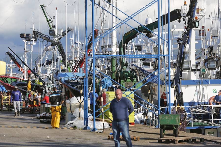 Setenta barcos descargan en las rulas de Gijón y Avilés más de 300.000 kilos en un día