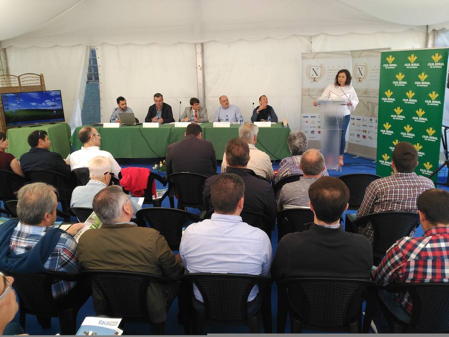 Vegadeo cierra este domingo la última edición de su Feria de Muestras, una cita comercial de referencia en Asturias que, un año más, ha registrado todo un éxito de público.