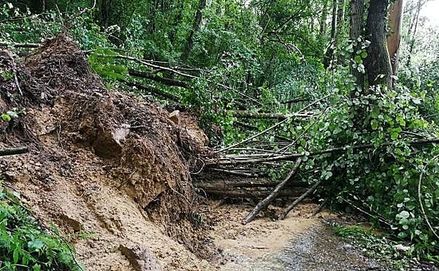Imagen. Múltiples argayos en Villaviciosa que a las carreteras del concejo 