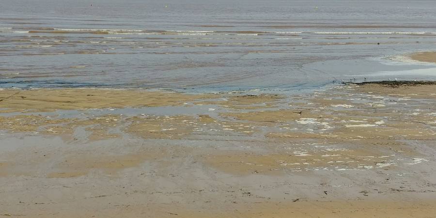 La Comisión de Seguimiento de la Playa ha cerrado la playa al baño nuevamente tras las lluvias caídas en la noche y la aparición de suciedad en el arenal esta mañana.