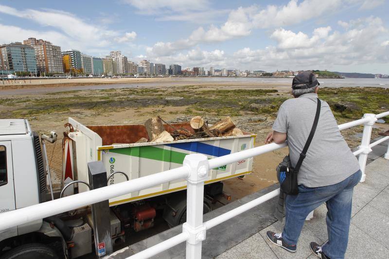 Fotos: Los efectos de las inundaciones en el río Piles