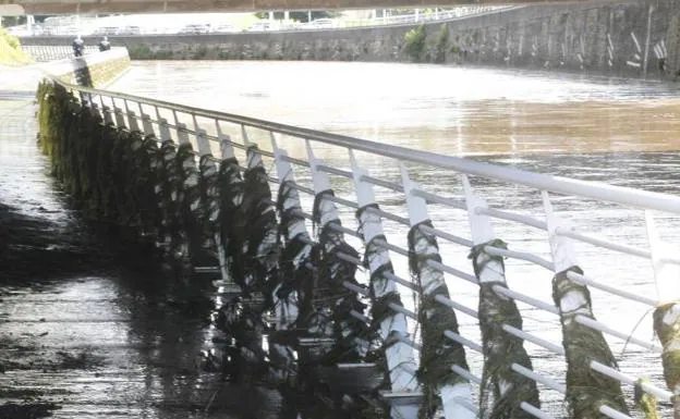 Imagen. Los efectos de las inundaciones en el río PIles.