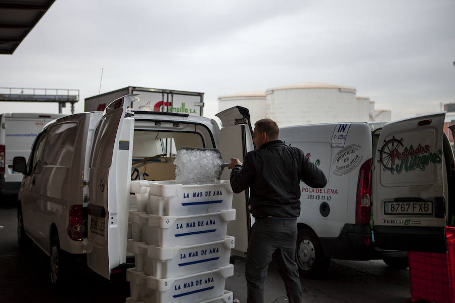 El primer bonito de la temorada subastado en EL Musel alcanzó el precio de 16,97 euros el kilo. En total fueron rulados 5.300 kilos del túnido