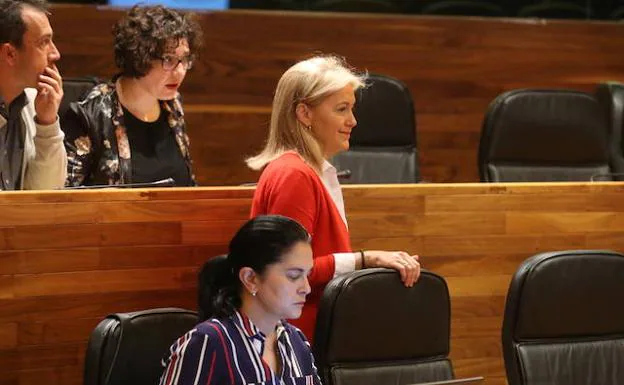 Cristina Coto esta mañana en la Junta General del Principado de Asturias.