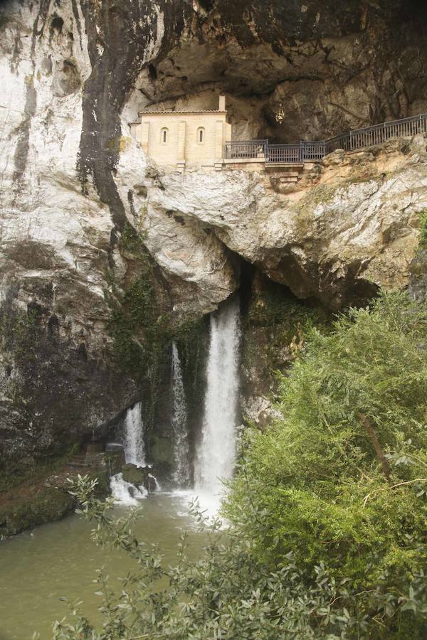 Cascada de Asturias. Covadonga (Cangas de Onís)