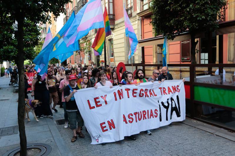 La manifestación del Orgullo, que reunió a cientos de personas, reclamó la urgente tramitación de una ley para proteger a las personas transexuales