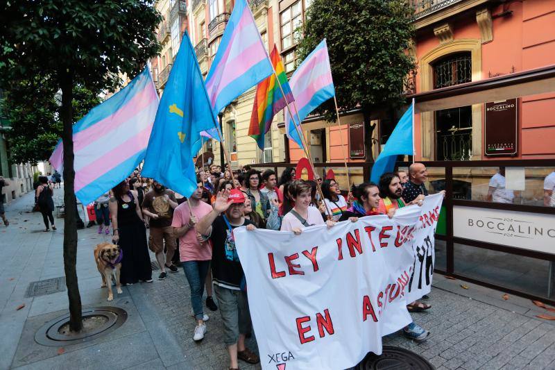 La manifestación del Orgullo, que reunió a cientos de personas, reclamó la urgente tramitación de una ley para proteger a las personas transexuales