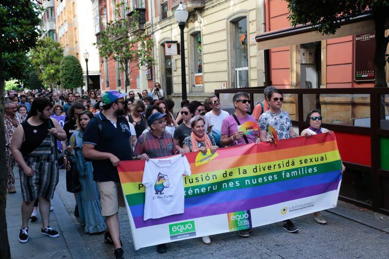 La manifestación del Orgullo, que reunió a cientos de personas, reclamó la urgente tramitación de una ley para proteger a las personas transexuales