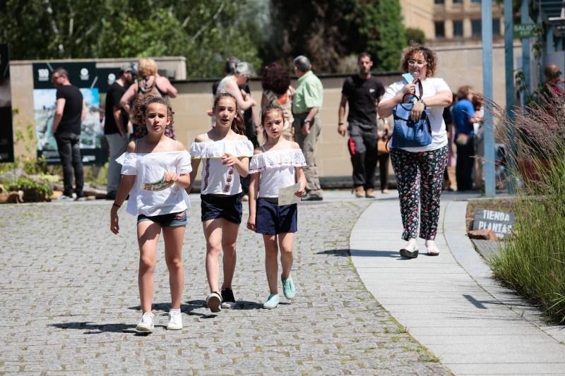 Visitas guiadas, una divetida yincana, talleres, charlas y presentaciones o música en directo fueron algunas de las actividades realizadas durante la jornada dominical