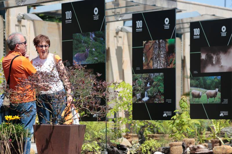Visitas guiadas, una divetida yincana, talleres, charlas y presentaciones o música en directo fueron algunas de las actividades realizadas durante la jornada dominical