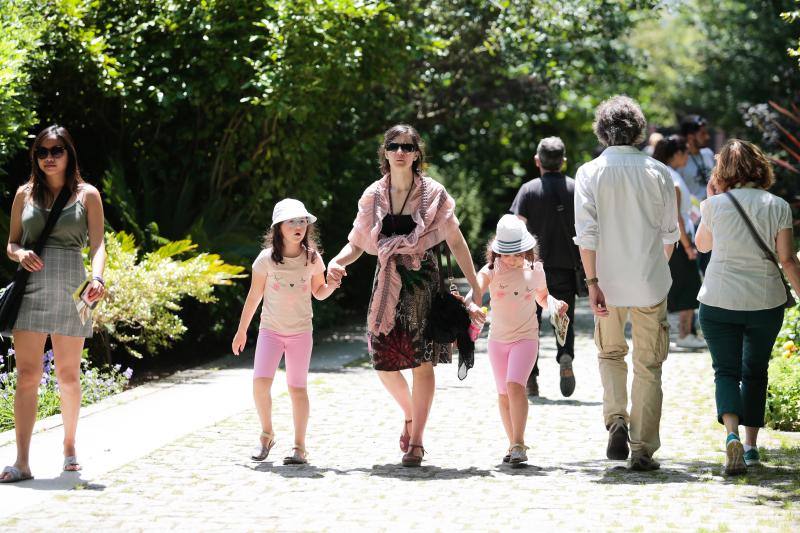 Visitas guiadas, una divetida yincana, talleres, charlas y presentaciones o música en directo fueron algunas de las actividades realizadas durante la jornada dominical