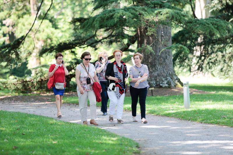 Visitas guiadas, una divetida yincana, talleres, charlas y presentaciones o música en directo fueron algunas de las actividades realizadas durante la jornada dominical