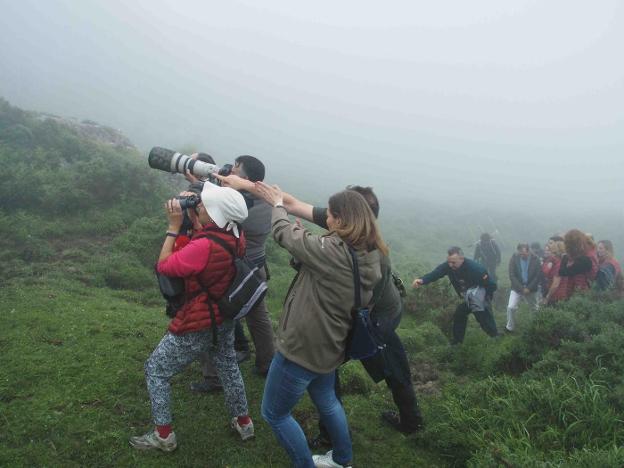 'Mónica' fue difícil de ver por la espesa niebla. 