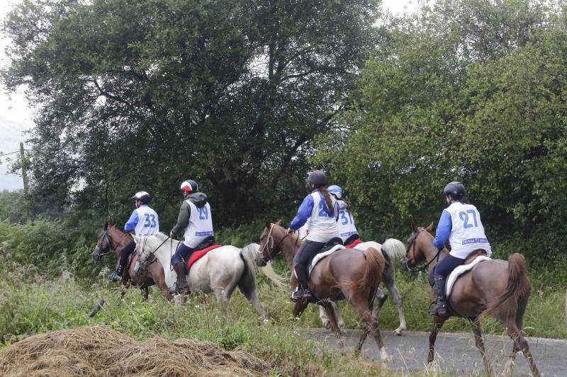 Medio centenar de binomios participaron en esta cita de la localidad ribadedense.