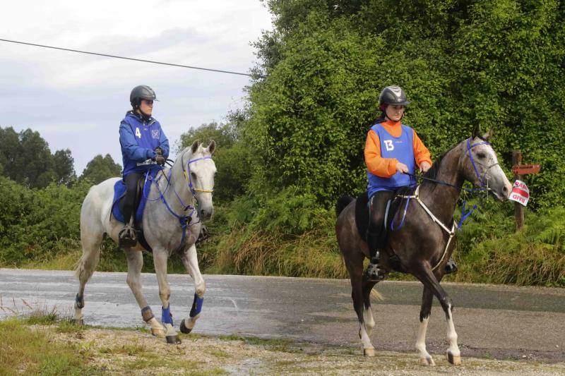 Medio centenar de binomios participaron en esta cita de la localidad ribadedense.
