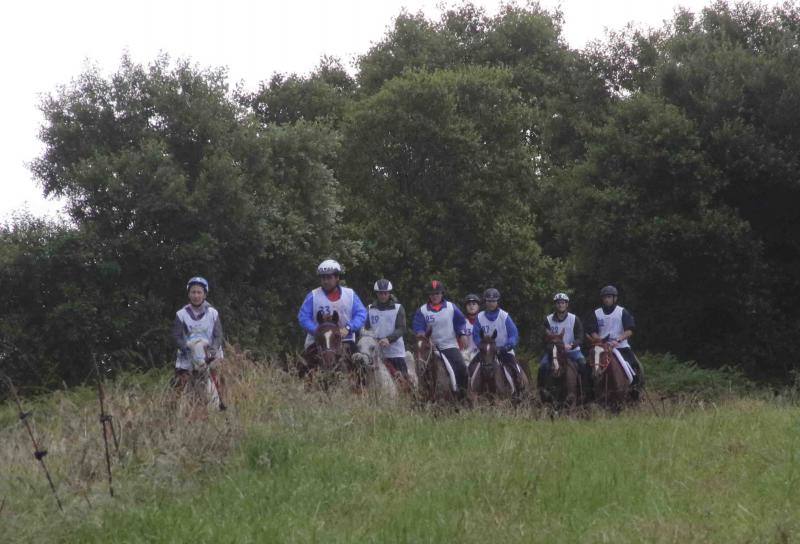 Medio centenar de binomios participaron en esta cita de la localidad ribadedense.