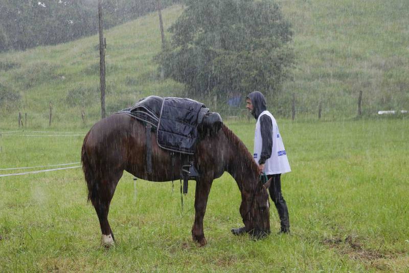 Medio centenar de binomios participaron en esta cita de la localidad ribadedense.