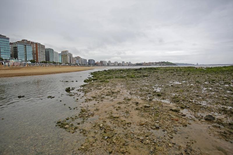 Asturias se encuentra en alerta amarilla por las fuertes lluvias y varias localidades de la región se han visto afectadas por las mismas. En Cudillero y en Oviedo se han producido inundaciones y argayos.