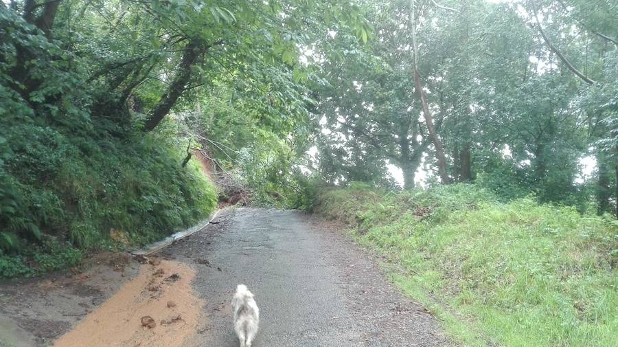 Asturias se encuentra en alerta amarilla por las fuertes lluvias y varias localidades de la región se han visto afectadas por las mismas. En Cudillero y en Oviedo se han producido inundaciones y argayos.