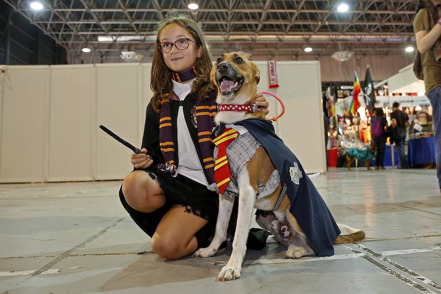 El festival Metrópoli ha celebrado su primera 'comic-dog', en la que numerosos seguidores de superhéroes y sus perros han compartido disfraces y aventuras. 