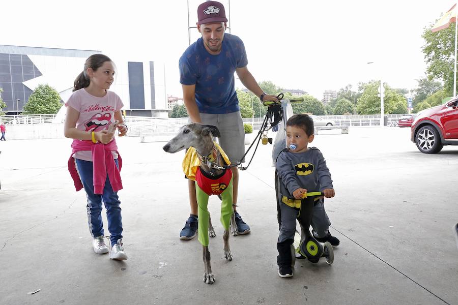 El festival Metrópoli ha celebrado su primera 'comic-dog', en la que numerosos seguidores de superhéroes y sus perros han compartido disfraces y aventuras. 