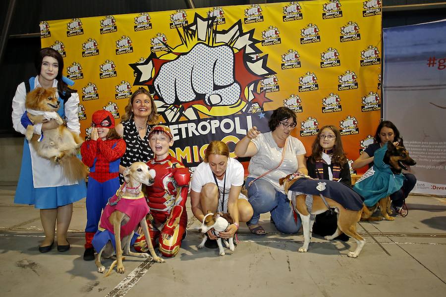 El festival Metrópoli ha celebrado su primera 'comic-dog', en la que numerosos seguidores de superhéroes y sus perros han compartido disfraces y aventuras. 
