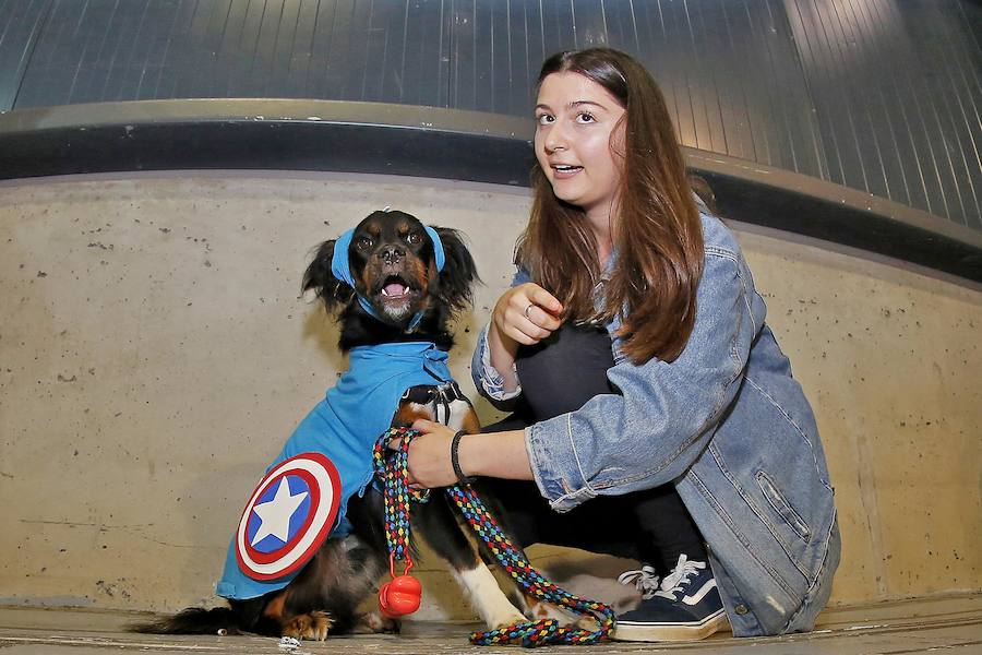 El festival Metrópoli ha celebrado su primera 'comic-dog', en la que numerosos seguidores de superhéroes y sus perros han compartido disfraces y aventuras. 