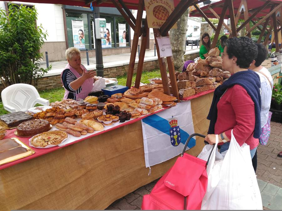 La capital del concejo de El Franco acoge este fin de semana una nueva edición de Artenatur, un certamen dedicado a los recursos naturales, el turismo y la cultura en el que se dan cita grandes y pequeños. 