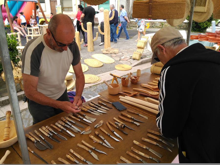 La capital del concejo de El Franco acoge este fin de semana una nueva edición de Artenatur, un certamen dedicado a los recursos naturales, el turismo y la cultura en el que se dan cita grandes y pequeños. 