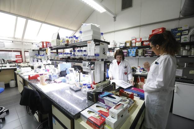 Dos investigadoras trabajan en uno de los laboratorios del instituto. 