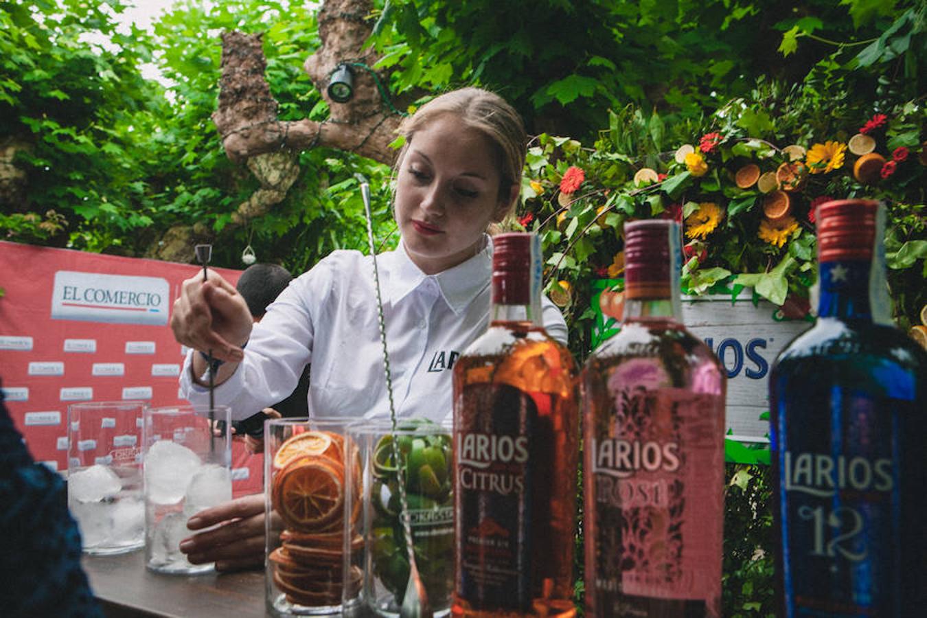 Un año más se celebra en Gijón la degustación de ginebras más importante del norte de España, organizada por el EL COMERCIO y Gustatio