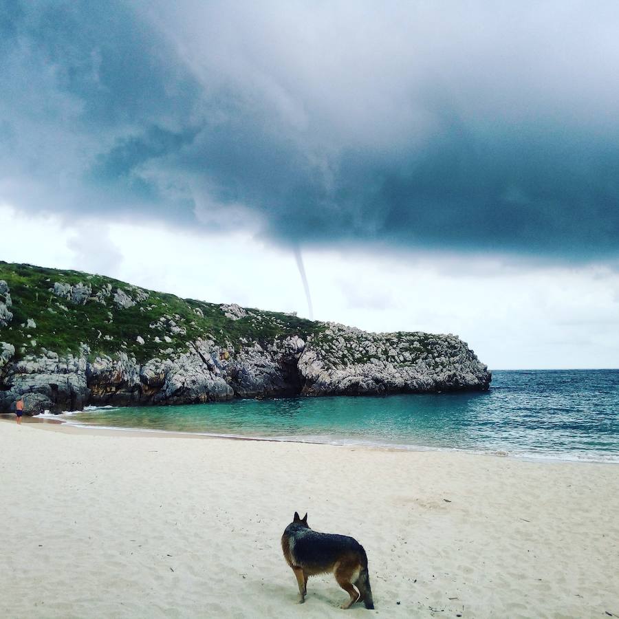Calles y comercios anegados, argayos, casas incomunicadas e incluso accidentes de tráfico. Las intensas lluvias han dejado un reguero de daños en Asturias, sobre todo, en concejos como Oviedo, Siero y Mieres. En Llanes se han visto sorprendidos por un 'tornado'.