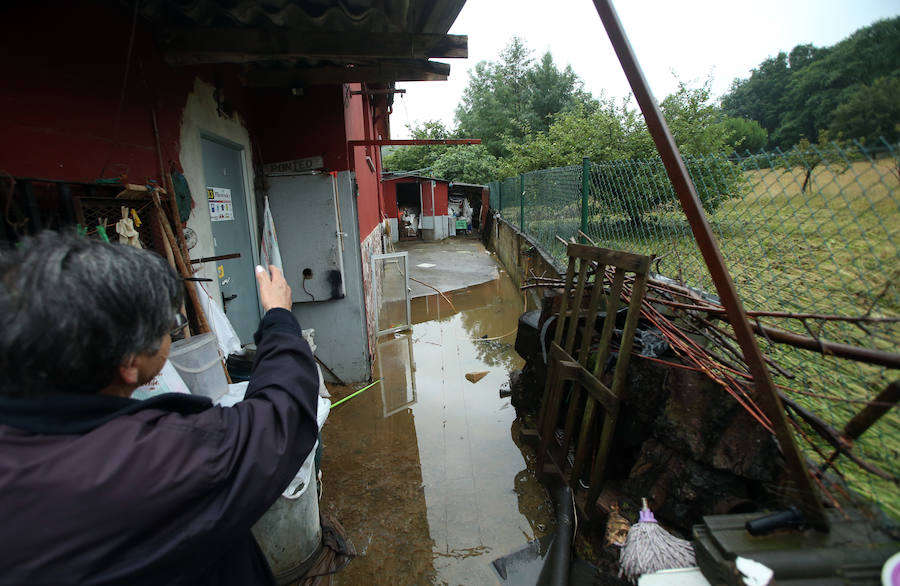 Calles y comercios anegados, argayos, casas incomunicadas e incluso accidentes de tráfico. Las intensas lluvias han dejado un reguero de daños en Asturias, sobre todo, en concejos como Oviedo, Siero y Mieres. En Llanes se han visto sorprendidos por un 'tornado'.