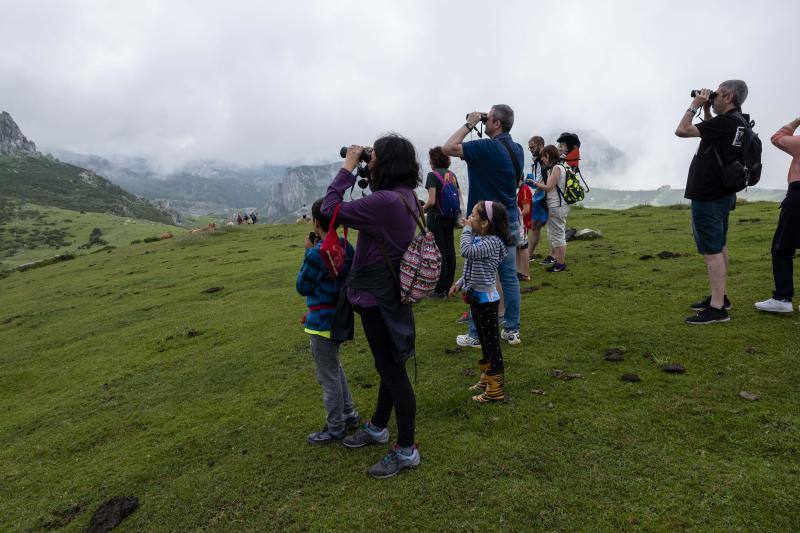 La Fundación Quebrantahuesos inicia su segundo verano de visitas científicas, un proyecto de ecoturismo que la pasada temporada reunió a 416 usuarios.
