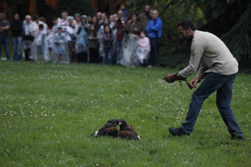 El público familiar no quiso perderse el vuelo de las aves rapaces que se exhibió en el jardín gijonés.