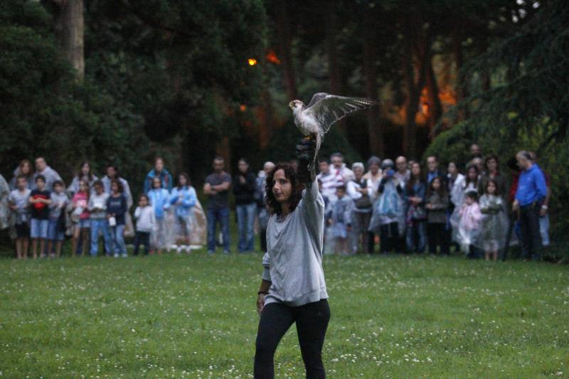 El público familiar no quiso perderse el vuelo de las aves rapaces que se exhibió en el jardín gijonés.
