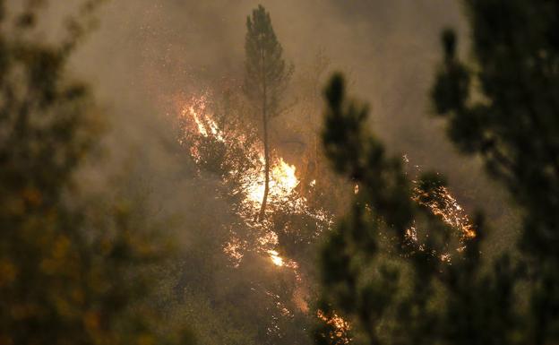 Incendio forestal en el Occidente de Asturias. 
