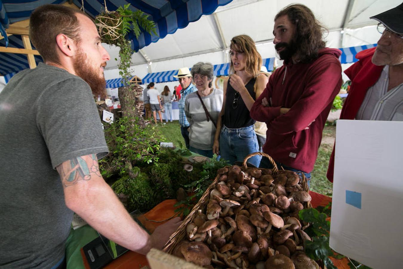 La Feria Agroalimentaria de Productos Ecológicos de Asturias (FAEPA) coincidirá con el 44 Concurso Exposición de Ganado Vacuno de Llanera, en el que se hará subasta, por primera vez, de veinticinco reses de las razas asturianas, y de una pareja de bueyes.